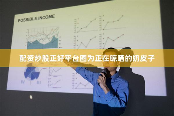 配资炒股正好平台图为正在晾晒的奶皮子
