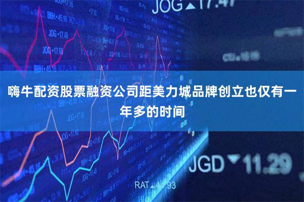 嗨牛配资股票融资公司距美力城品牌创立也仅有一年多的时间
